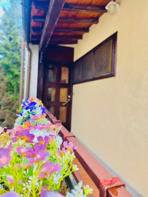 Holiday Apartment